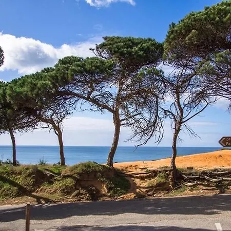 別荘 Aldeia Acoteias アルブフェイラ